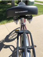 Schwinn Cruiser
