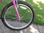 24" Wheel TREK MT200 Kids 7 Speed Mountain Bike (good)
