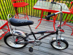 05 Schwinn Manta Ray Muscle Bike