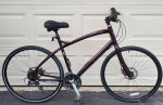 57cm Specialized Vienna 3-Disc Brakes-Carbon Fiber Forks-Recent Tuneup