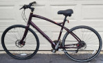 57cm Specialized Vienna 3-Disc Brakes-Carbon Fiber Forks-Recent Tuneup