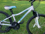 Youth Aluminum Framed Hybrid Comfort Bike - Raleigh "Ivy" Model