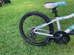 Youth Aluminum Framed Hybrid Comfort Bike - Raleigh "Ivy" Model