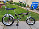 2005 Schwinn Manta Ray Muscle Bike