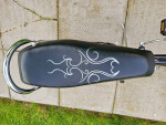 2005 Schwinn Manta Ray Muscle Bike