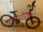Single Speed REDLINE ROAM Bicycle.