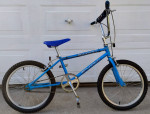 80s SCHWINN SX 1000 BMX BIKE