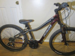 21 Speed SPECIALIZED HOT ROCK Mountain Bicycle 12 inch frame