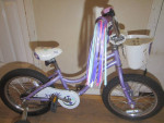 Girl's TREK MYSTIC Bicycle 16 inch tires with training wheels