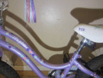 Girl's TREK MYSTIC Bicycle 16 inch tires with training wheels