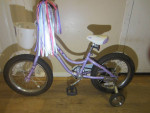 Girl's TREK MYSTIC Bicycle 16 inch tires with training wheels