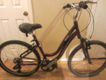 21-Speed TREK NAVIGATOR 2.0 Step Thru Hybrid Bicycle 16-1/2inch frame