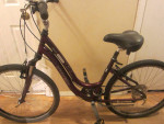 21-Speed TREK NAVIGATOR 2.0 Step Thru Hybrid Bicycle 16-1/2inch frame