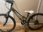 TREK 820 Mountain Bicycle 13 inch frame