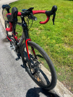 TREK domane SL5 carbon + carbon wheelset