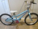 Single Speed SPECIALIZED HOT ROCK 20 Bicycle 10 inch frame