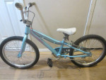 Single Speed SPECIALIZED HOT ROCK 20 Bicycle 10 inch frame