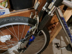 Pacific Conquest Mountain Bike