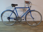 12 Speed Free Spirit