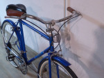 12 Speed Free Spirit