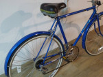 12 Speed Free Spirit