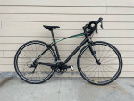 54cm 2018 Dolce Sport, like new
