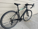 54cm 2018 Dolce Sport, like new