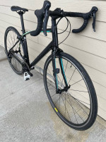 54cm 2018 Dolce Sport, like new