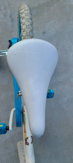 Girls 16" Bicycle W/Trainers