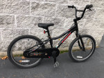Kids 20" Trek Precaliber single speed hybrid bike for ages 6 to 8