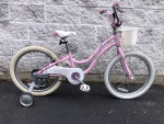 Girl's 20" Trek bike w/ basket and training wheels for ages 6 to 8