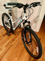 Trek 820 21-speed teen/women’s small mountain bike in like new condition