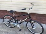 Trek lime automatic shifting