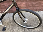 Trek lime automatic shifting