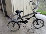 Adult tricycle