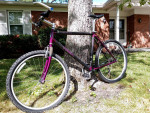 Outstanding XL Trek 8700 Carbon Fiber XC (Cross Country) Beast!