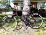 Outstanding XL Trek 8700 Carbon Fiber XC (Cross Country) Beast!