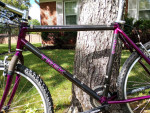 Outstanding XL Trek 8700 Carbon Fiber XC (Cross Country) Beast!