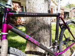 Outstanding XL Trek 8700 Carbon Fiber XC (Cross Country) Beast!