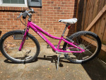 Trek MT-200 kids 24" bike