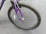 26” Schwinn SX200 women’s / girls 21 speed mountain bike - 16” frame