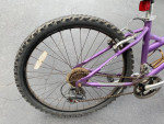 26” Schwinn SX200 women’s / girls 21 speed mountain bike - 16” frame