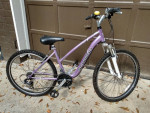 Schwinn Ranger