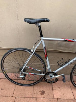 Trek 1000 Alpha Road Bike