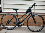 Gray Trek FX 1