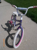 18" Huffy Seastar