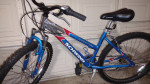 Schwinn Aluminum Comp Mountain Bike