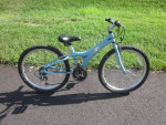 Schwinn- Speedster 2.4, 24", 21 Speed Mountain Bike- EX. COND!