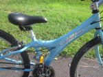 Schwinn- Speedster 2.4, 24", 21 Speed Mountain Bike- EX. COND!