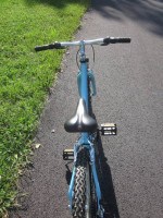 Schwinn- Speedster 2.4, 24", 21 Speed Mountain Bike- EX. COND!